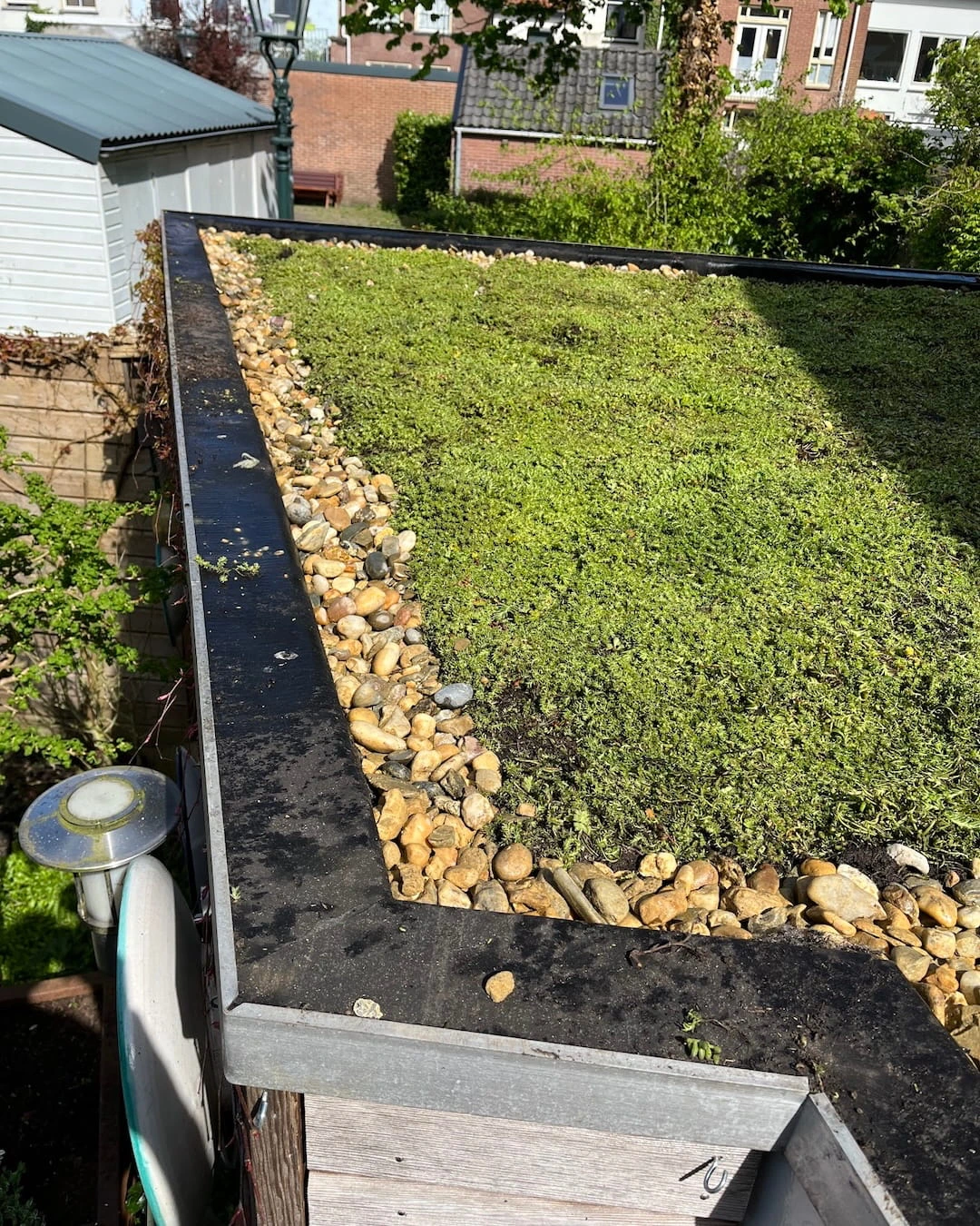 Sedumdak op garage in Utrecht