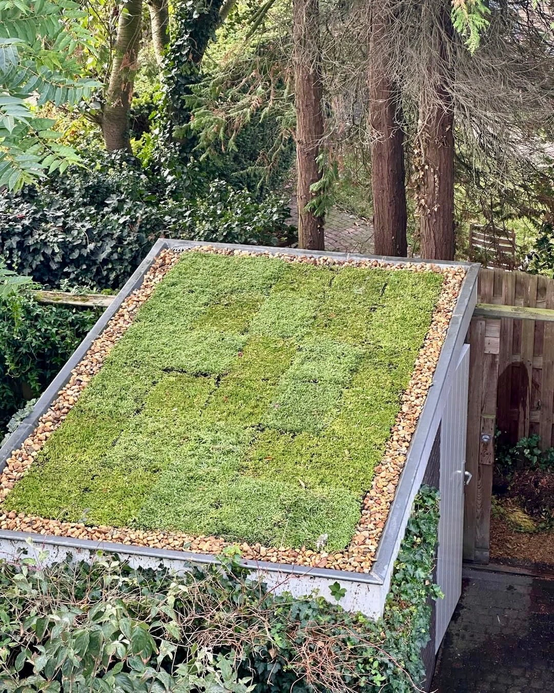 Sedumdak op je schuur