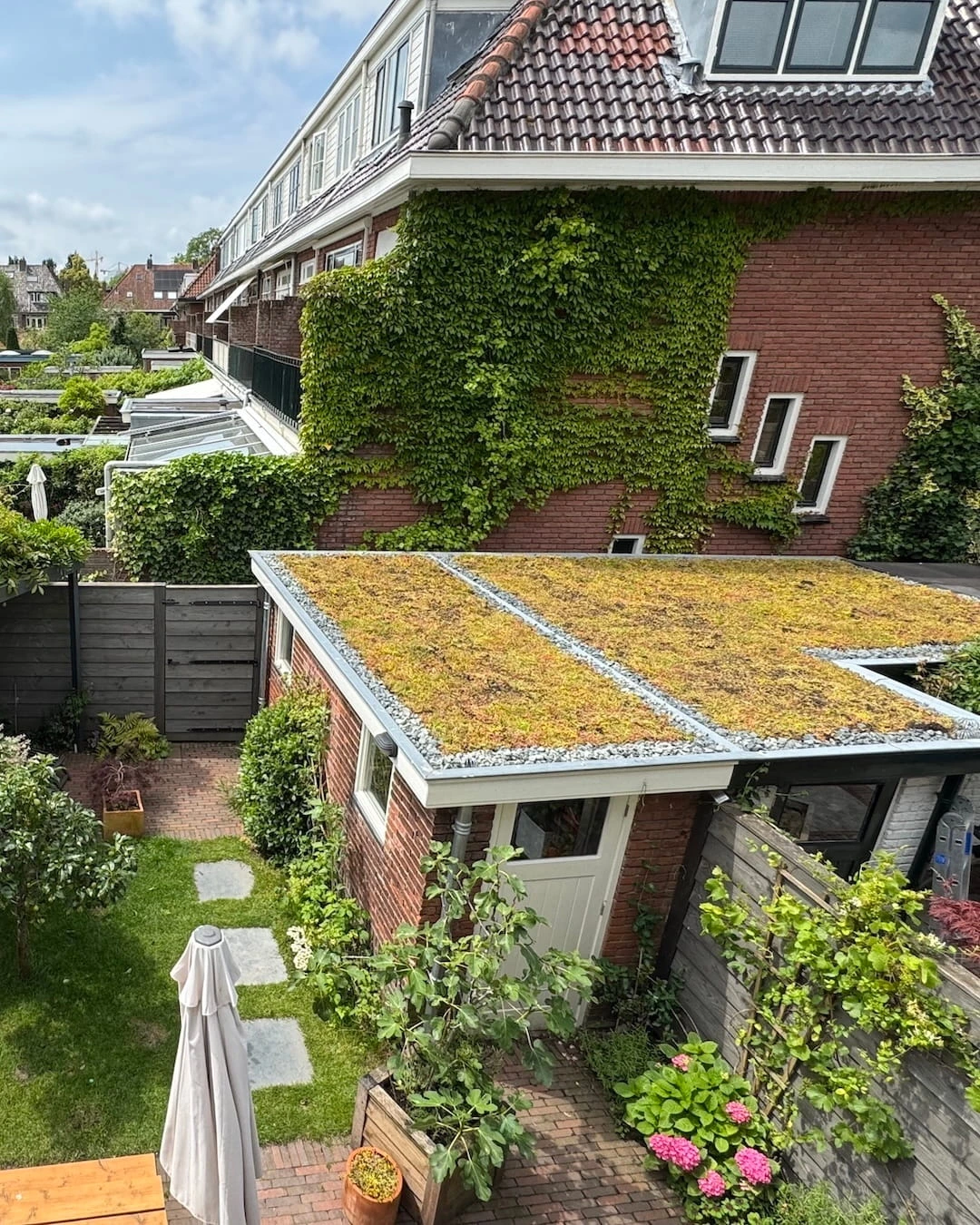 Sedumdak op schuren in Leiden