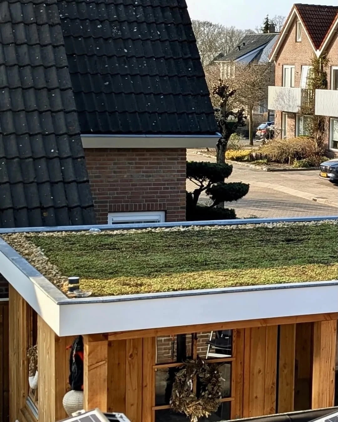 Sedumdak op schuur in Haaksbergen