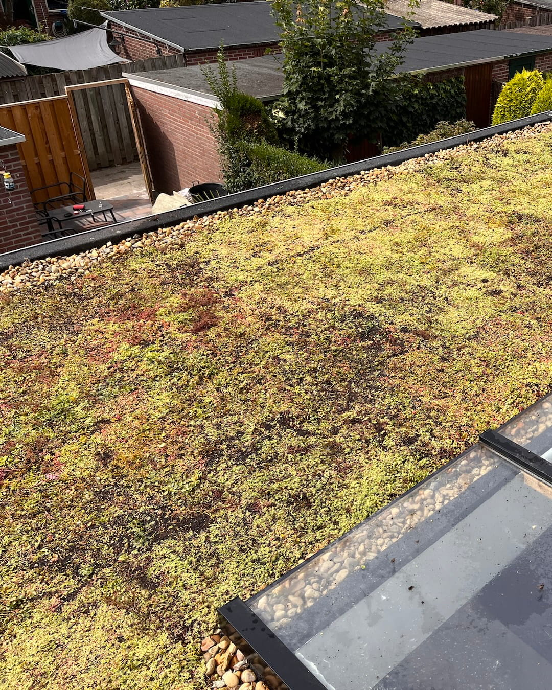 Sedumdak op je uitbouw