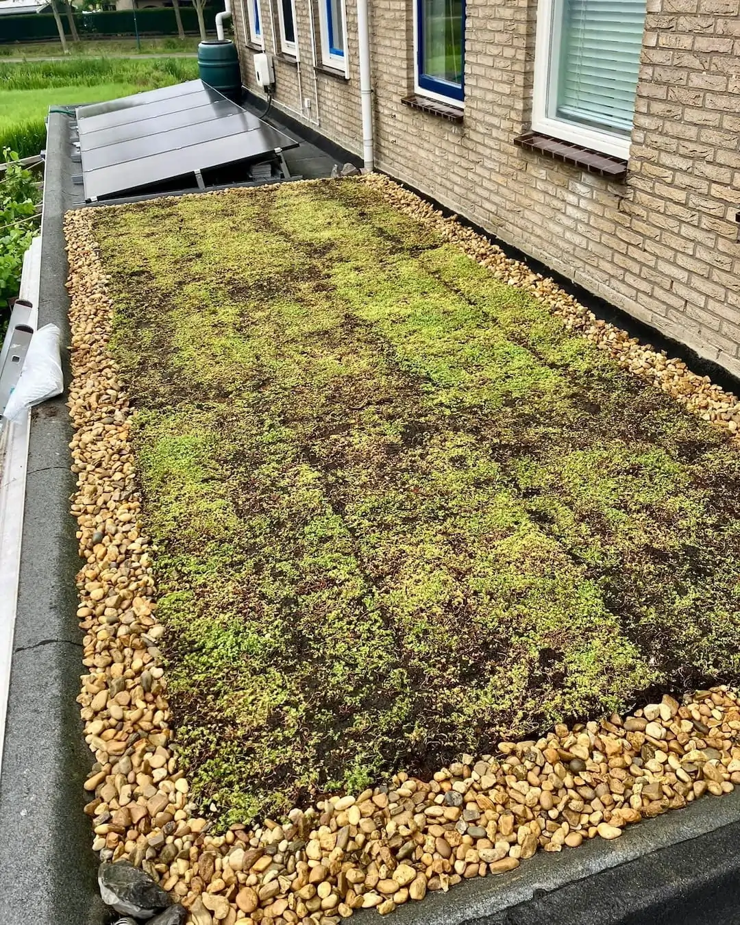 Sedumpakket op uitbouw (14m2) in Oegstgeest