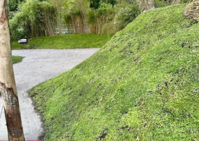Sedum als bodembedekker in Almere (60m2)