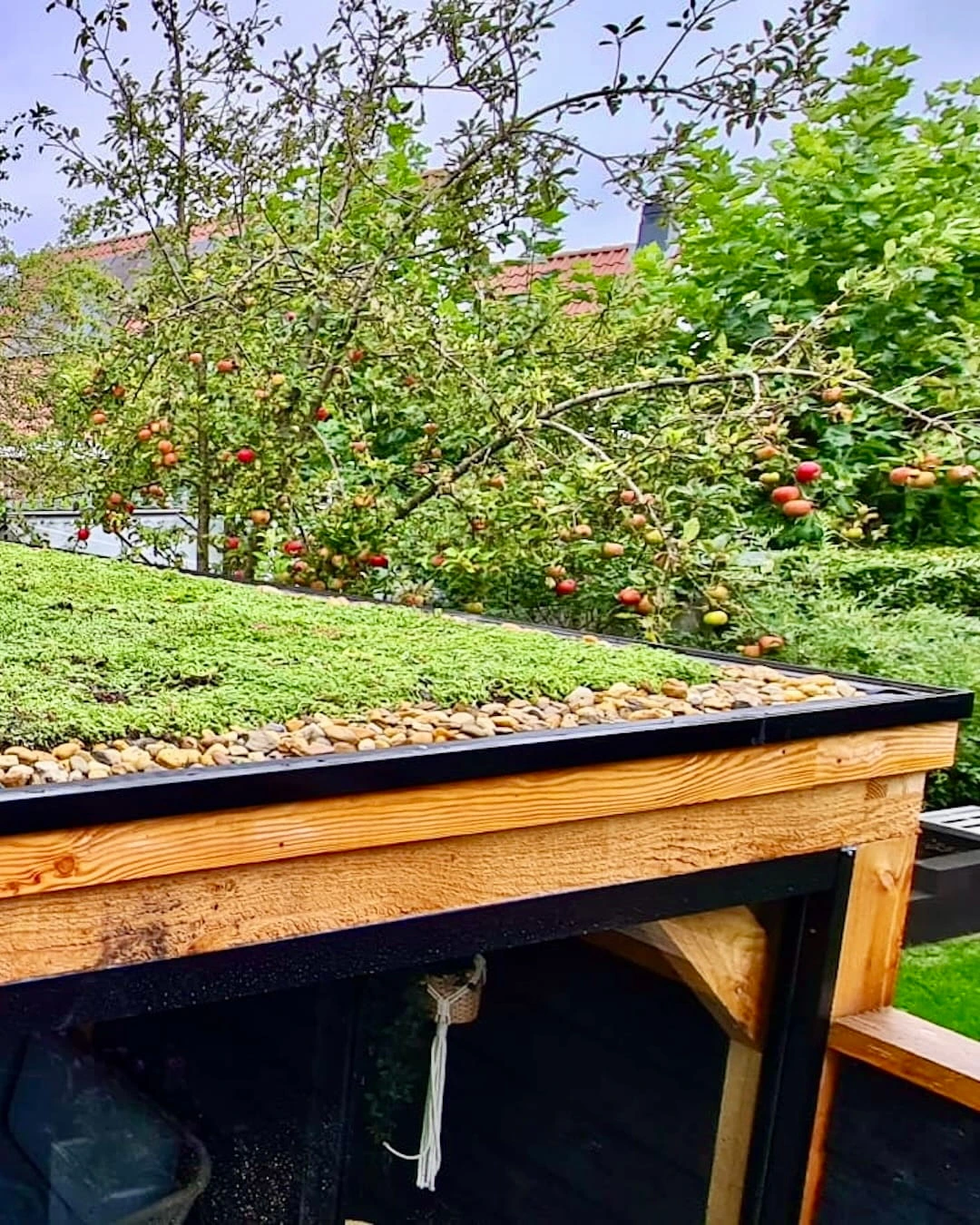 Sedumdak op veranda in Zeewolde (14m2)