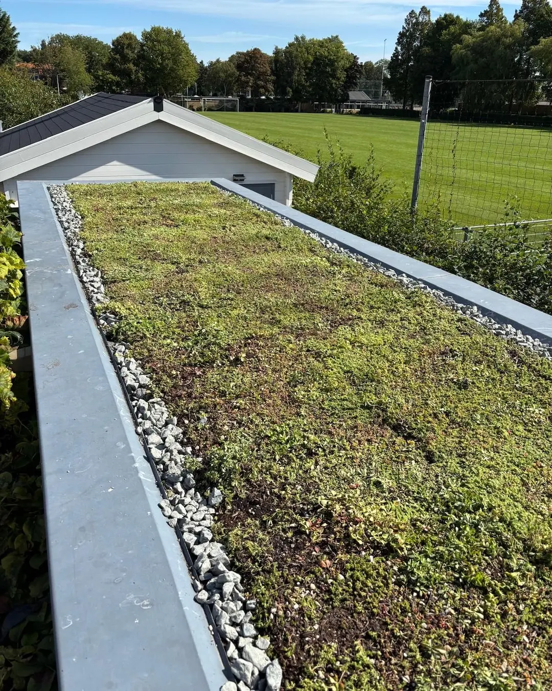 Sedumdak op schuren in Wassenaar (14m2)