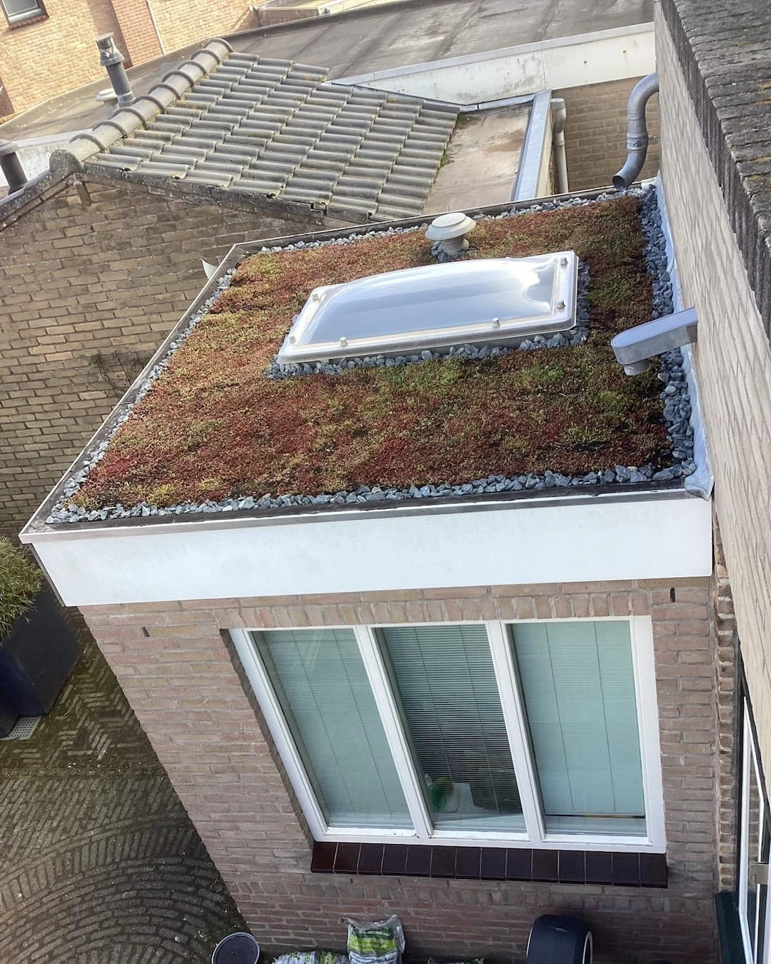 Sedumdak op aanbouw en schuur in Zandvoort (10m2)