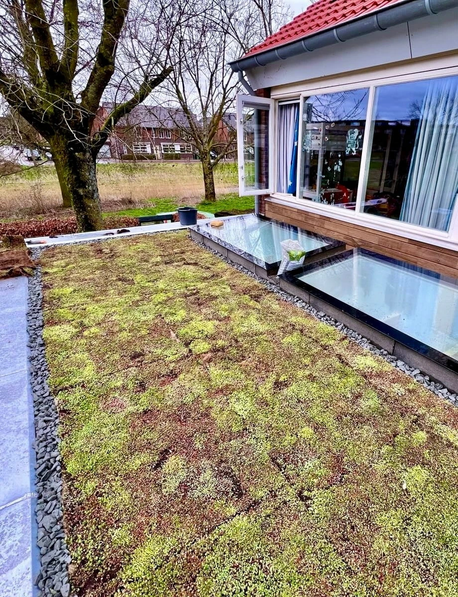 Sedumdak op uitbouw in Arnhem (20m2)