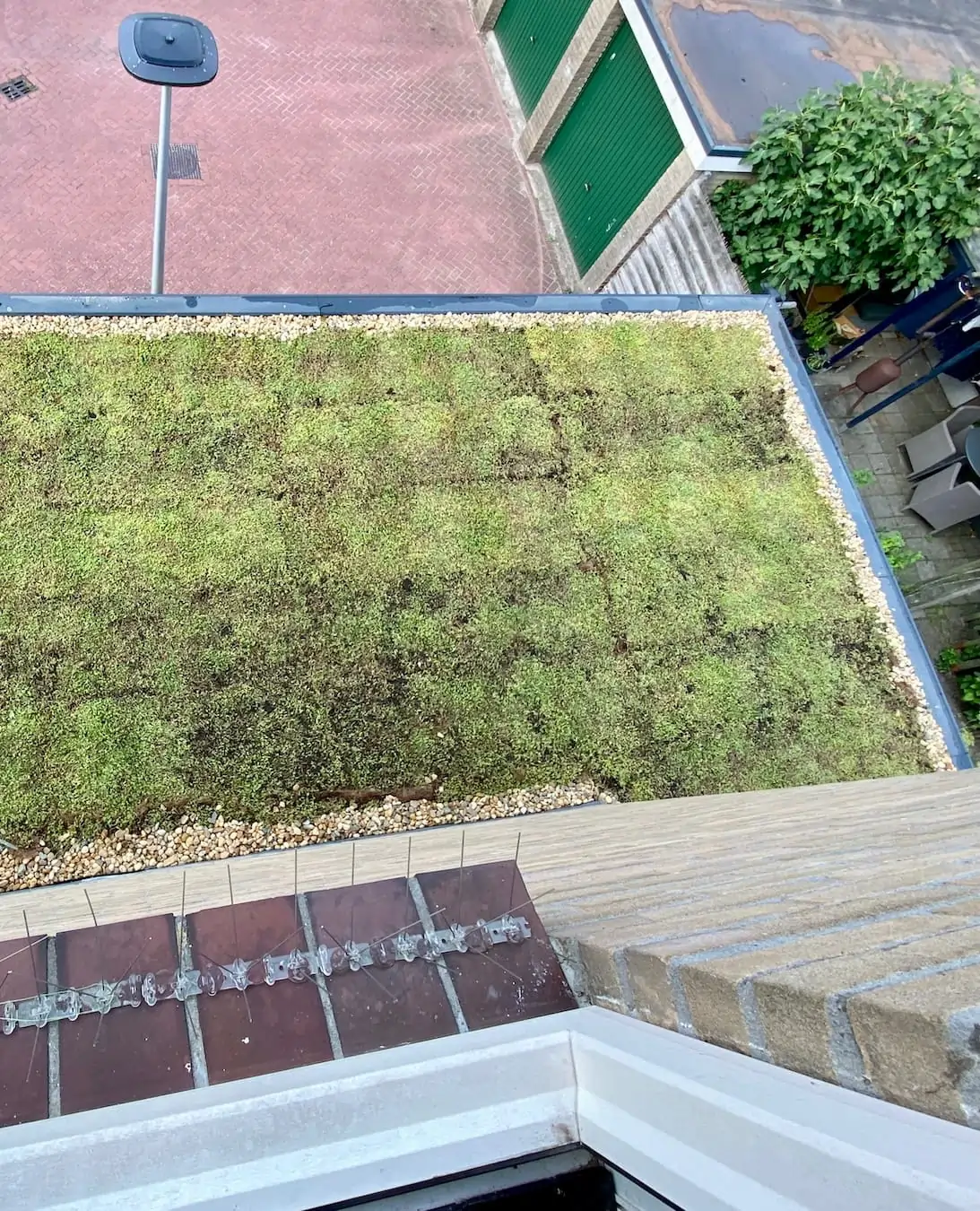 Sedumdak op uitbouw in Hengelo (26m2)