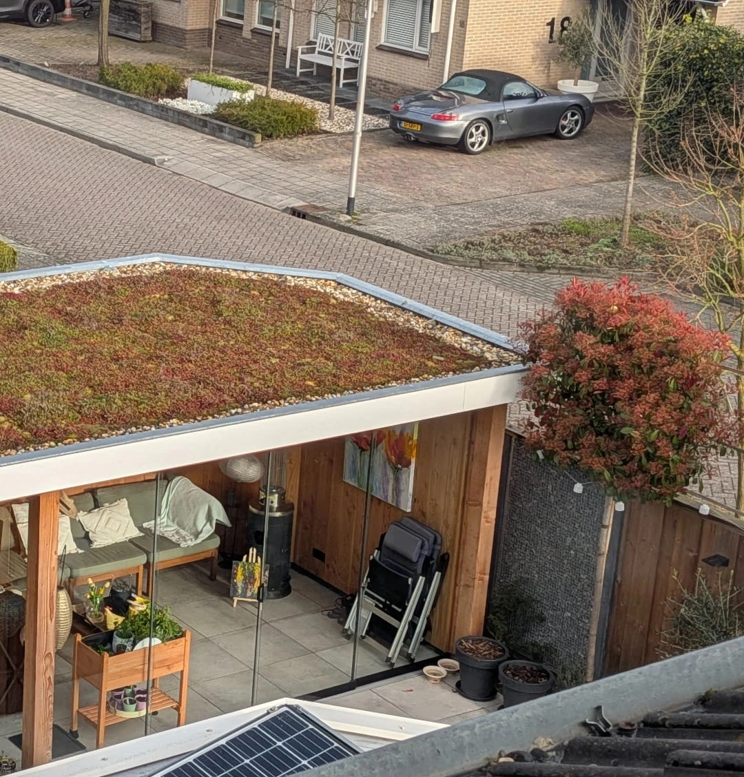 Sedumdak op veranda in Haaksbergen (18m2)