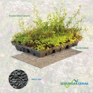 Kruiden Sedumcassette met basalt split