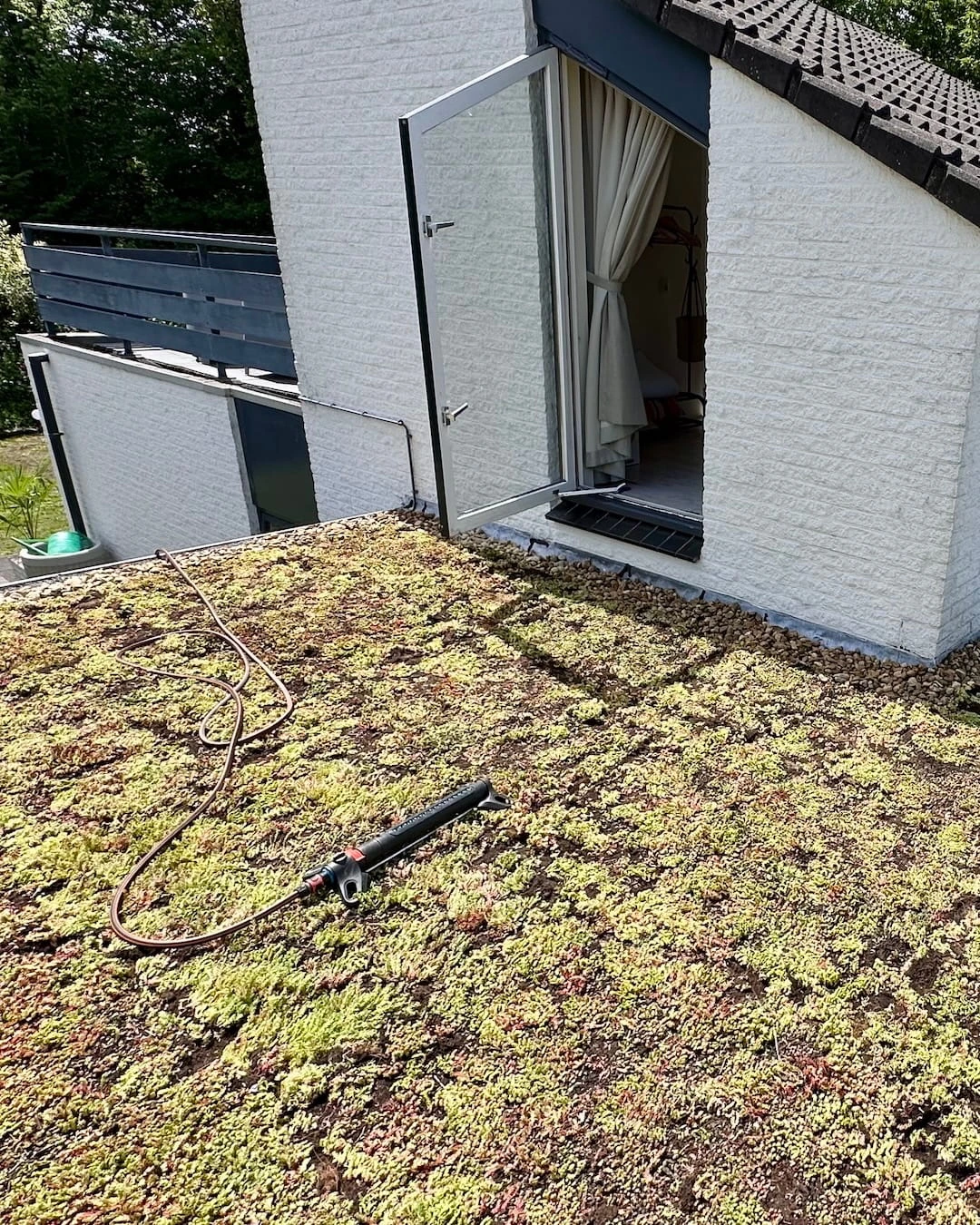 Sedumdak op carport in Ouddorp 32m2