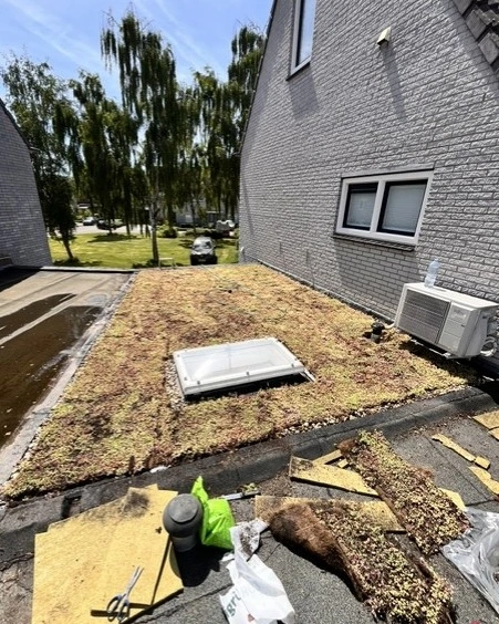 Sedumdak op garage in Assen (19m²)