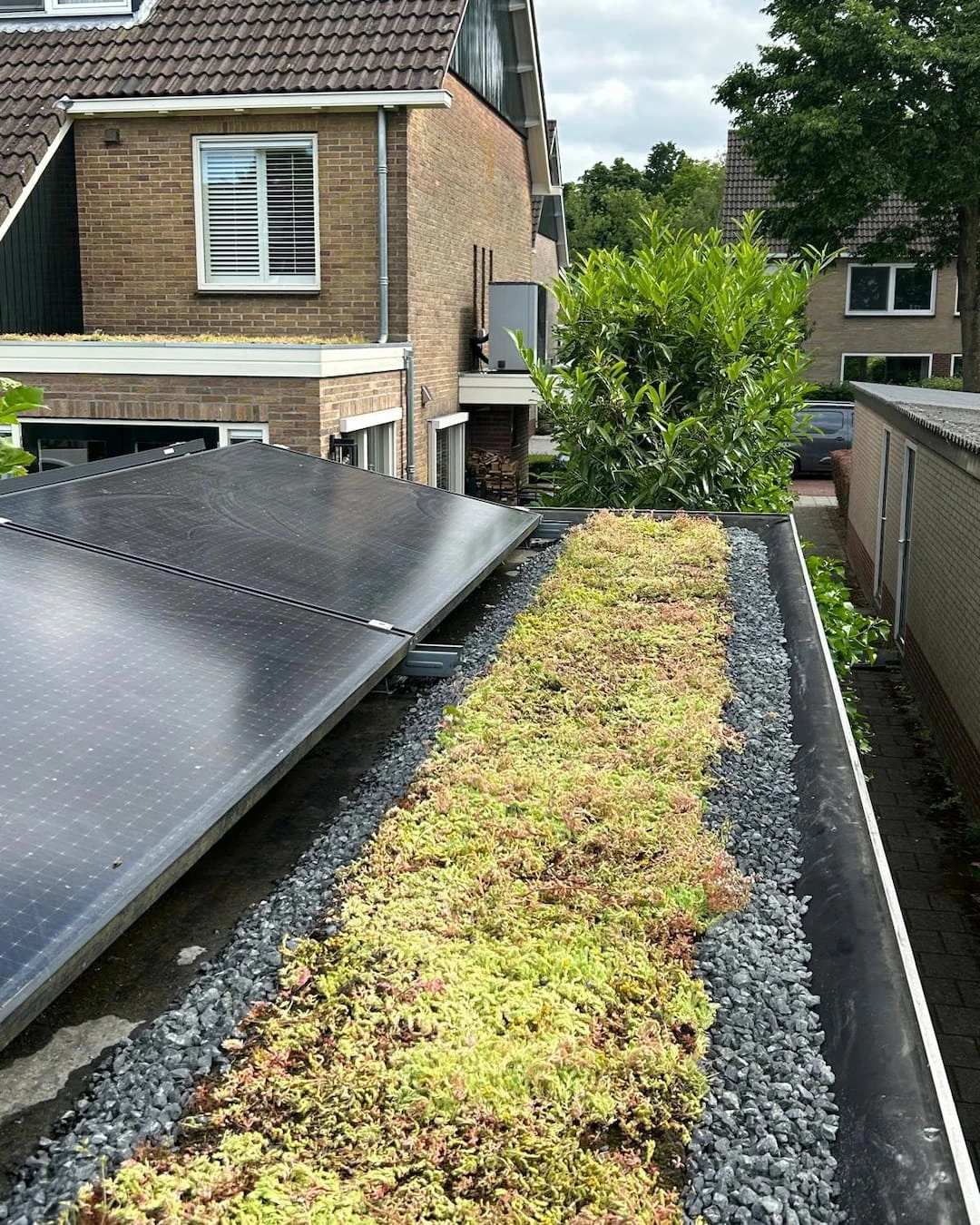 Sedumdak op garage in Ilpendam 11𝐦²