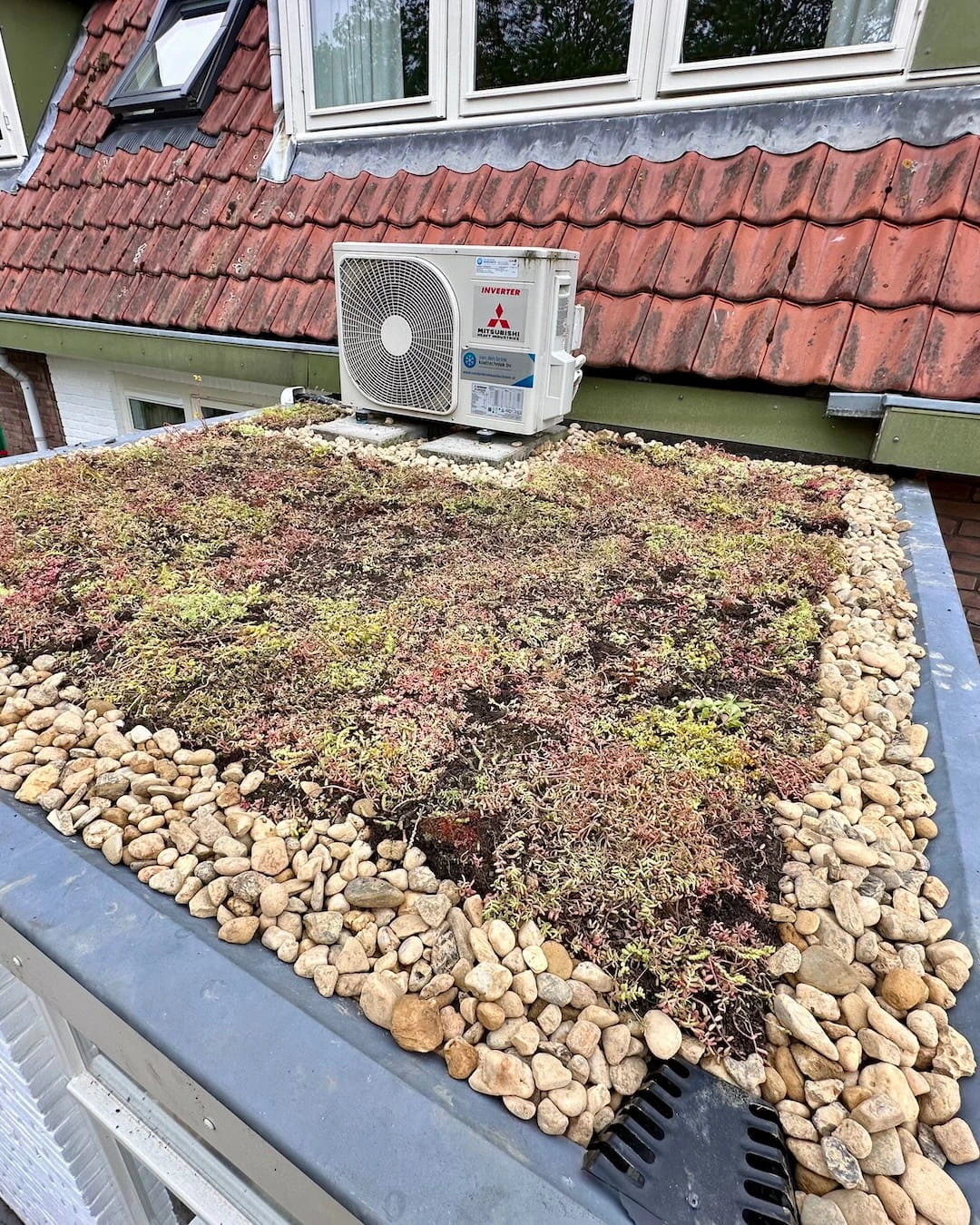 Sedumdak op uitbouw in Hilversum (9m²)