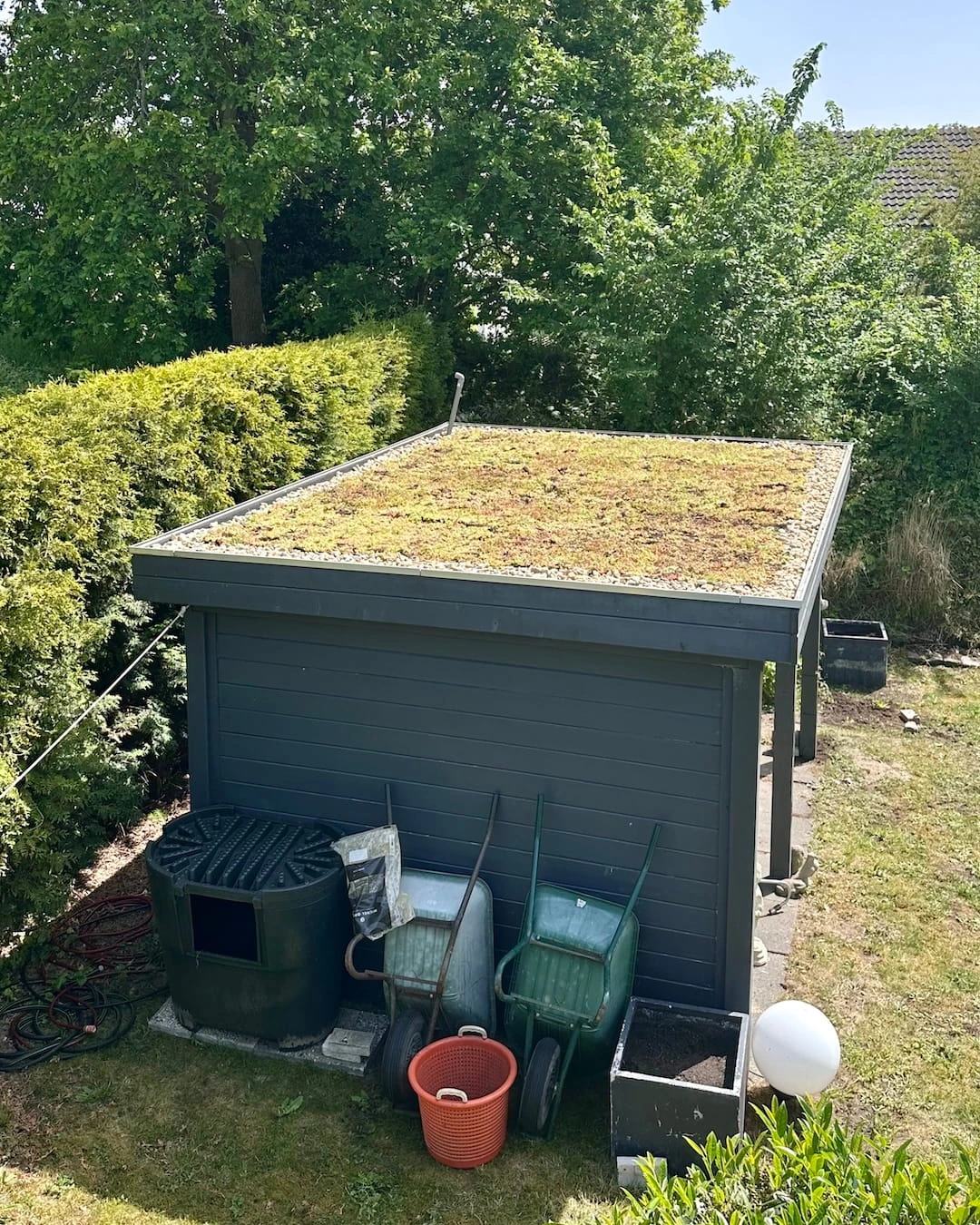Sedumdak op veranda in Ouddorp 12m2