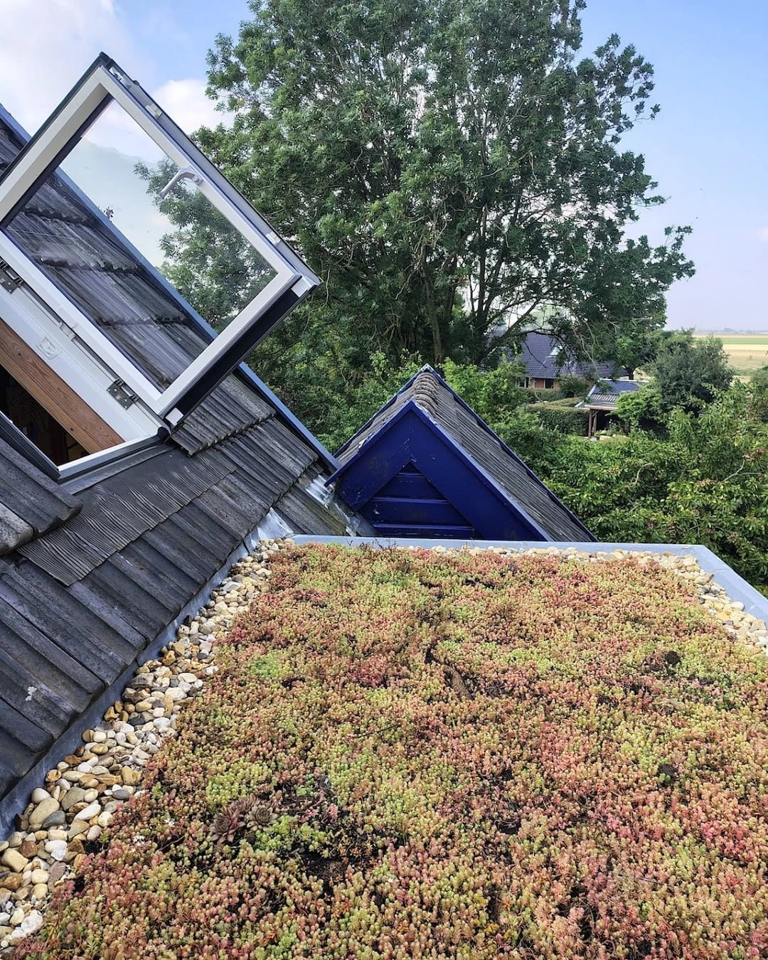 Sedumdak op dakkapel in Houwerzijl (7m²)
