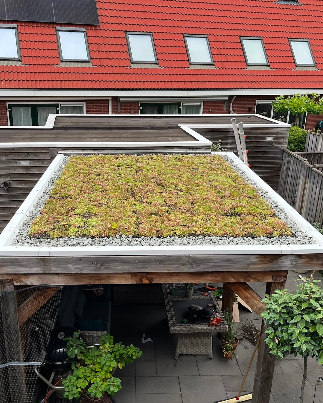 Sedumdak op overkapping in Hengelo met sedumcassettes (15m²)