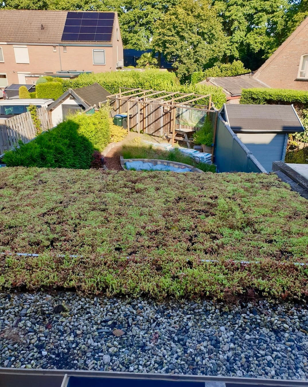 Sedumdak op terrasoverkapping in Beuningen (18m²)