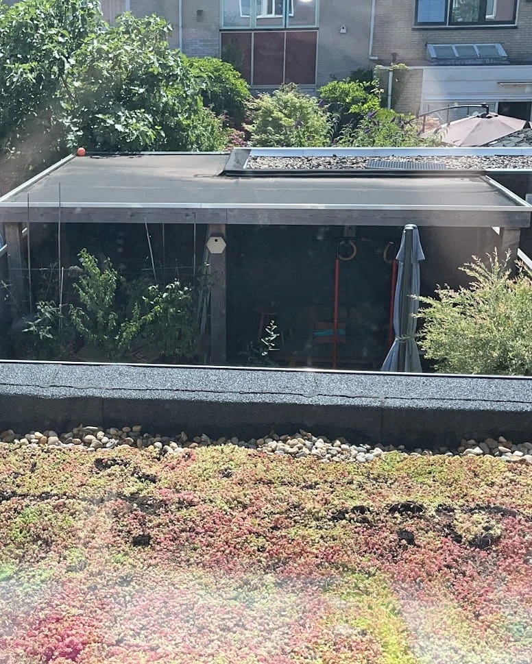 Sedumdak op uitbouw in Zoetermeer (10m²)