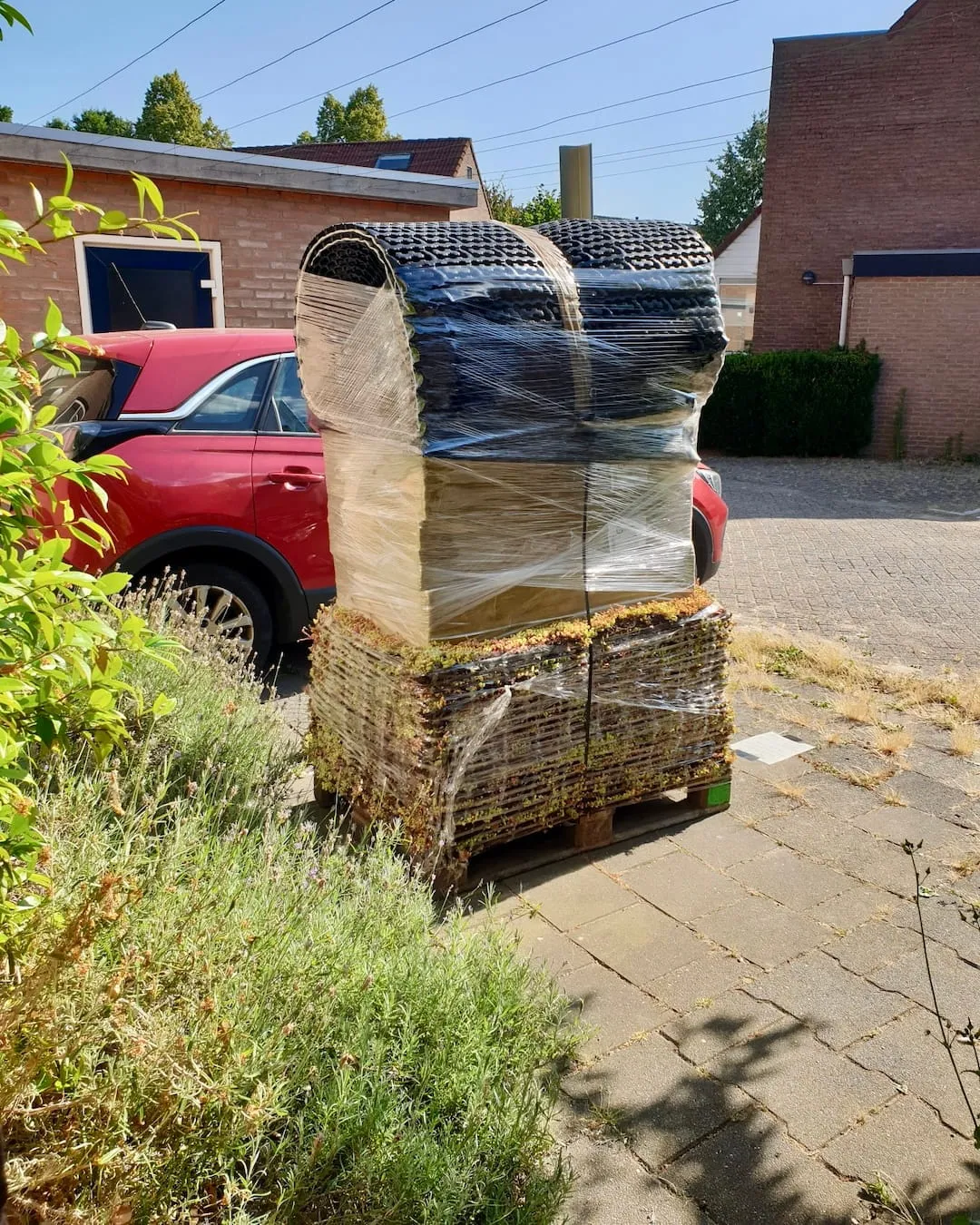 Sedumdaklevering Sedumpakket zonder grind (18m²)