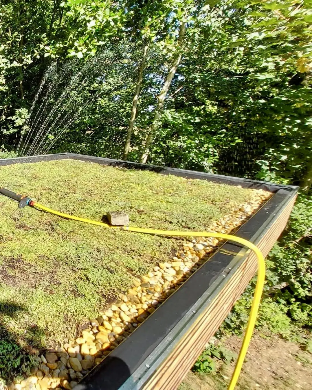 Sedumdak op tuinhuis in Den Hout (14m²)