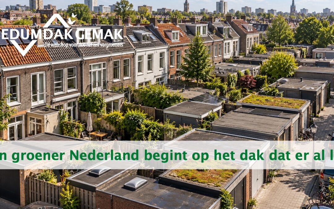 Een groener Nederland begint op het dak dat er al ligt