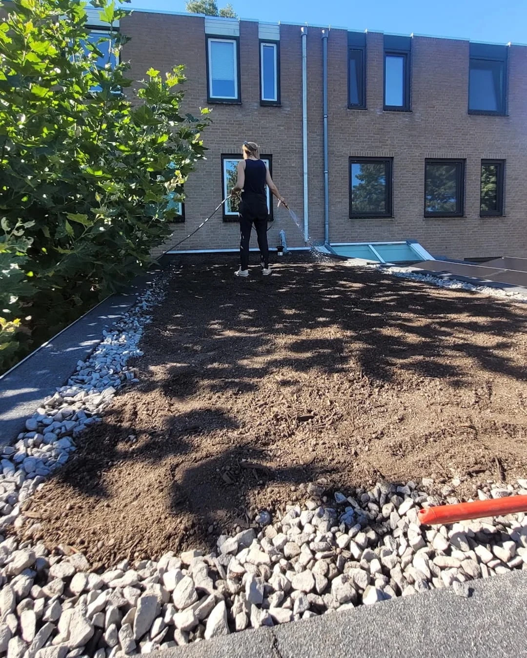 Sedumdak op aanbouw in Tilburg (28m²)