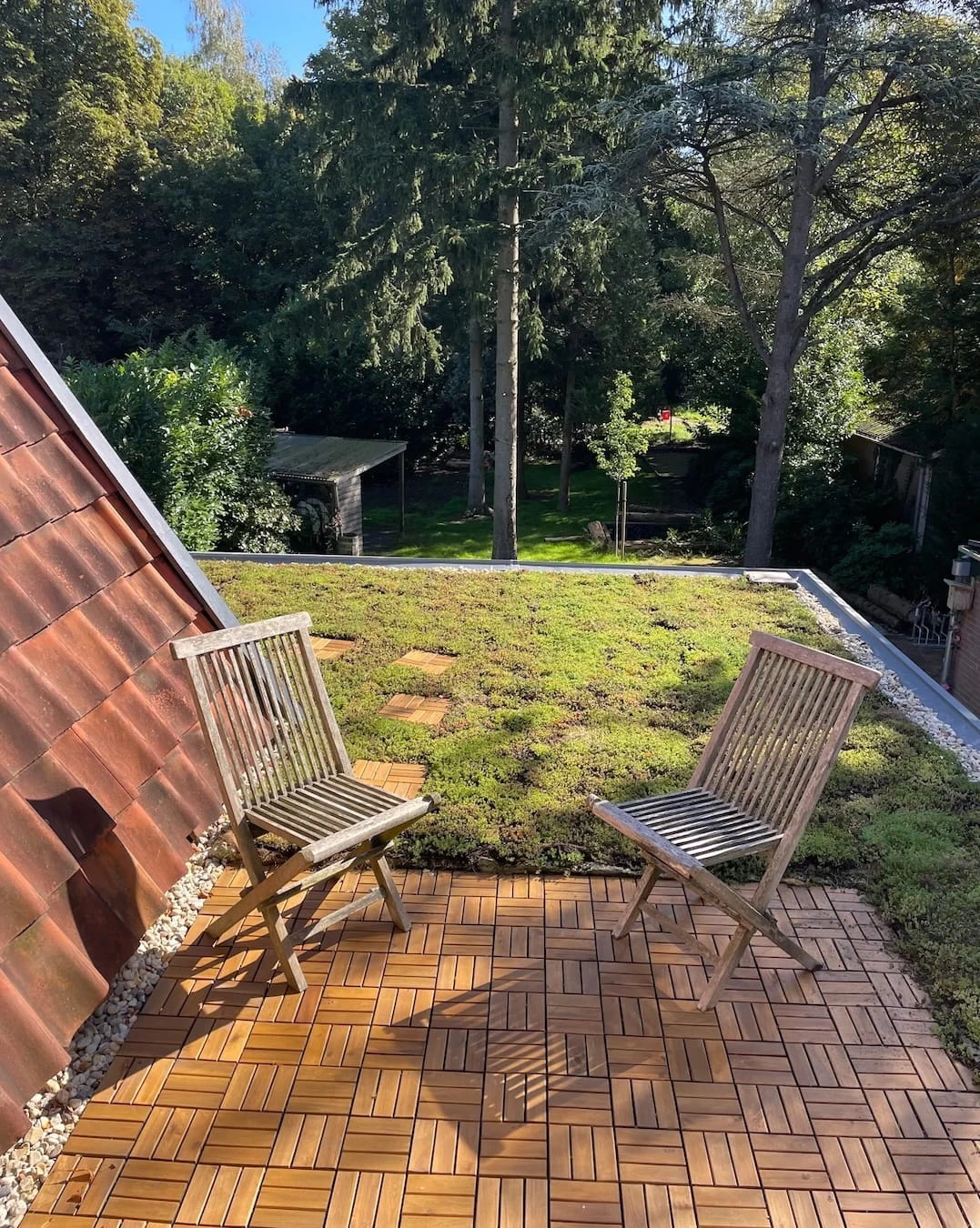 Sedumdak op uitbouw in Harderwijk (34 m²)
