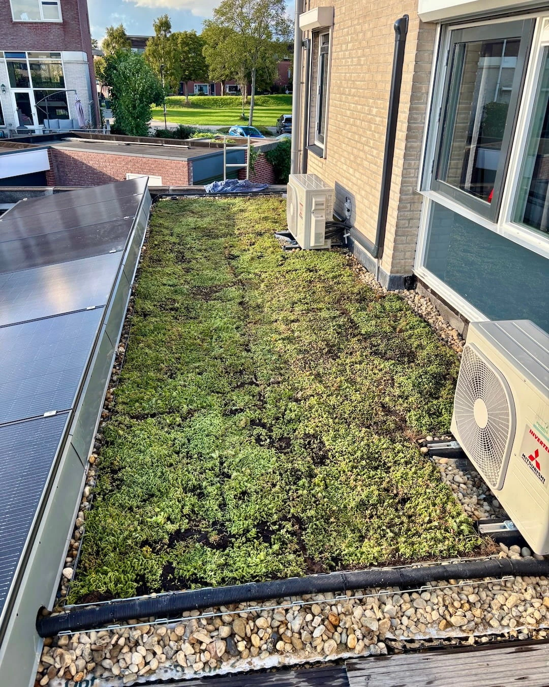 Sedumdak op uitbouw in Heerhugowaard (13m²)