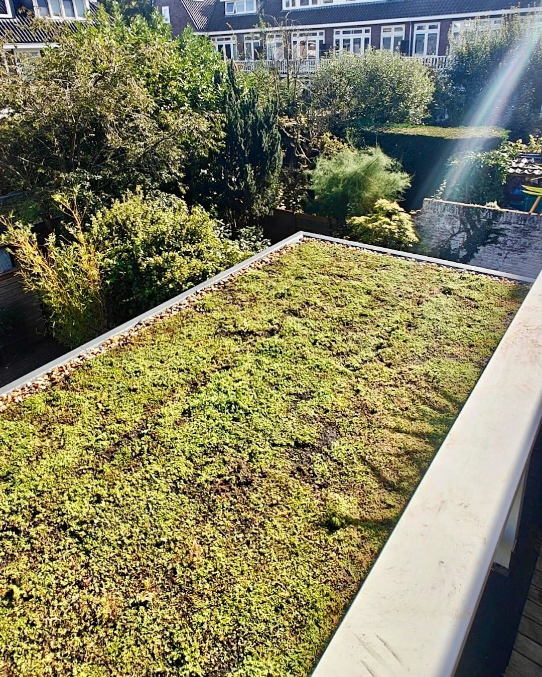 Sedumdak op uitbouw in Utrecht (15m²)